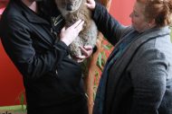 gallery-7