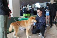 gallery-1