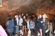 gallery-11