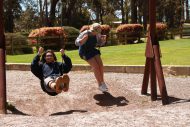 gallery-14