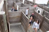 gallery-31