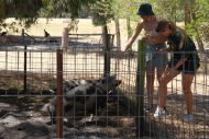 gallery-33