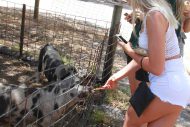 gallery-34