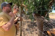 gallery-51