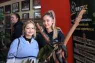 gallery-40