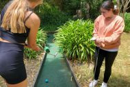 gallery-3