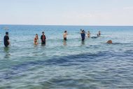 gallery-31