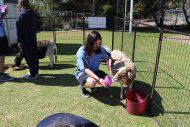 gallery-25
