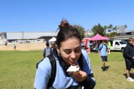 gallery-24