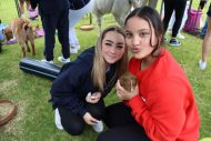 gallery-4