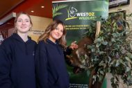 gallery-25