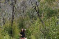 gallery-50