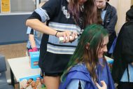 gallery-8