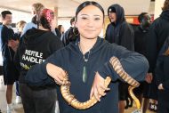 gallery-29