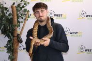 gallery-40